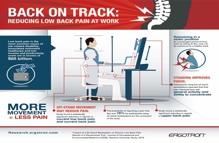 How to Stop Low Back Pain in Its Tracks