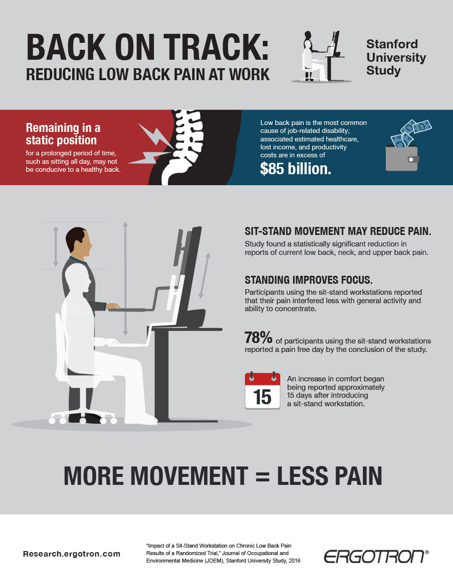 Low Back Pain Infographic - Chronic Pain